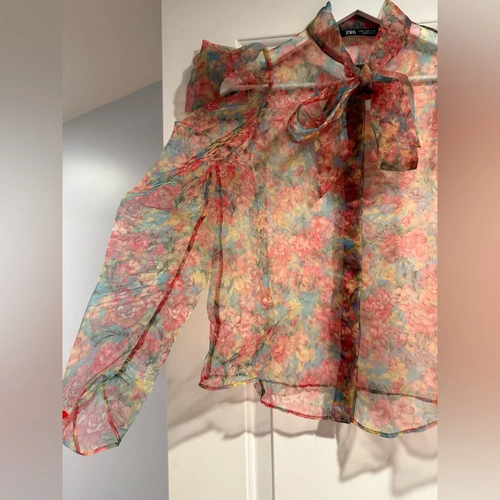 Zara Sheer Floral Blouse - Red and Blue - Picture 3 of 5